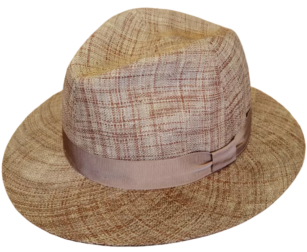 Tesi traveller raphia