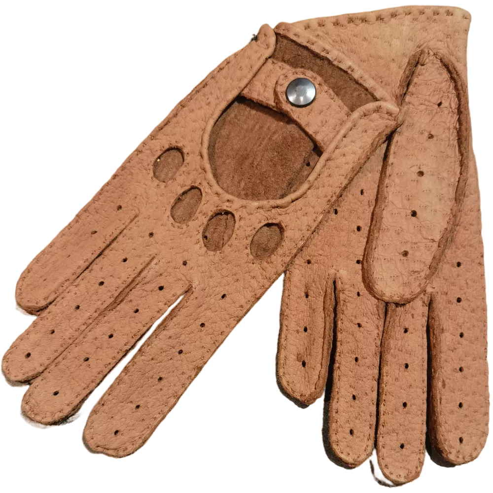 Pecari conduite femme