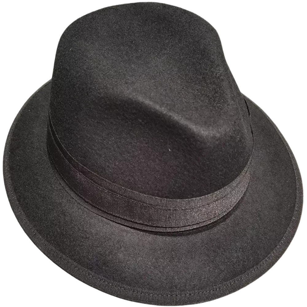 Fedora Nastro