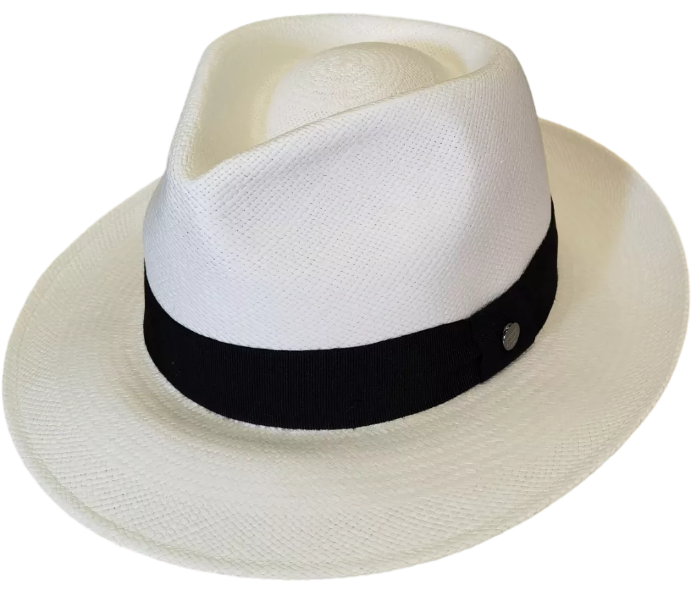 8H90-Classico panama BM