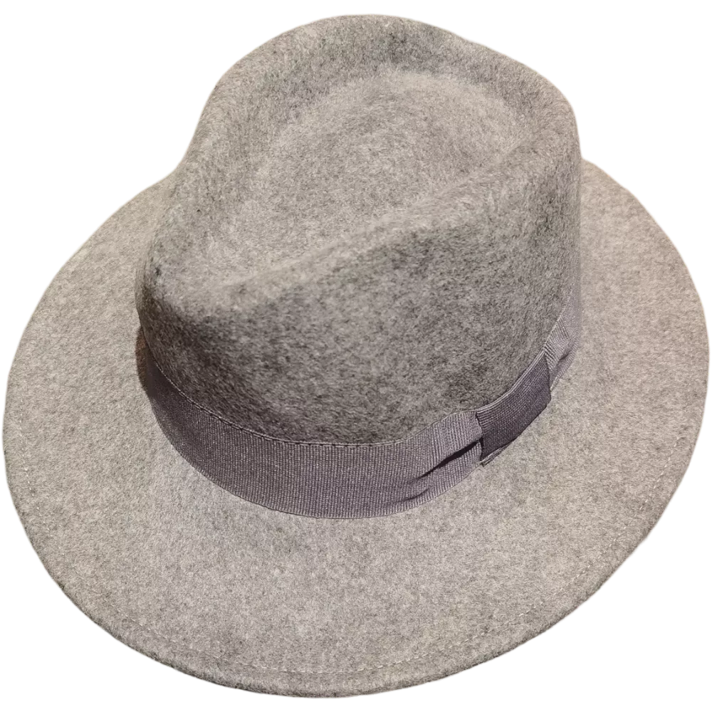 Fedora laine