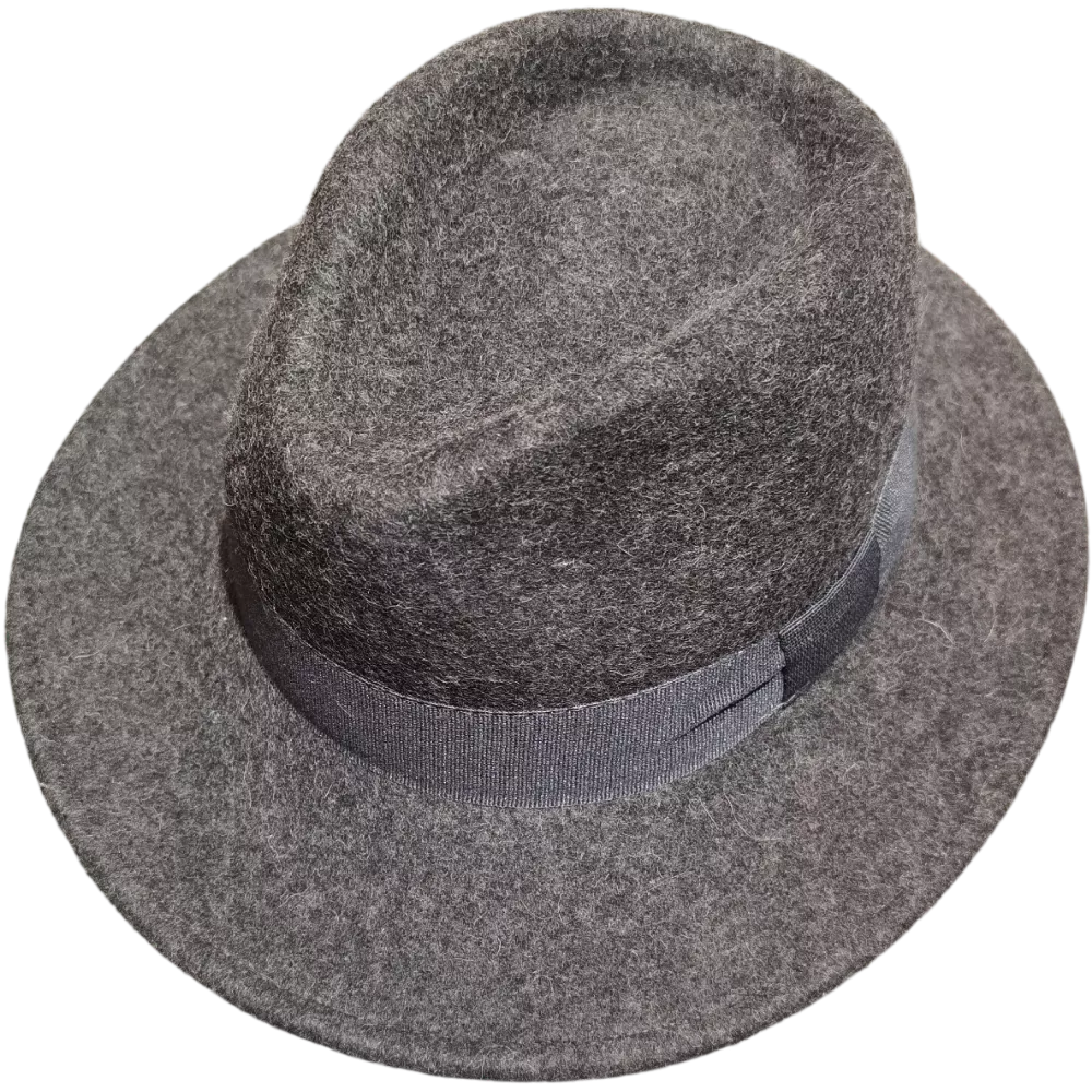 Fedora laine