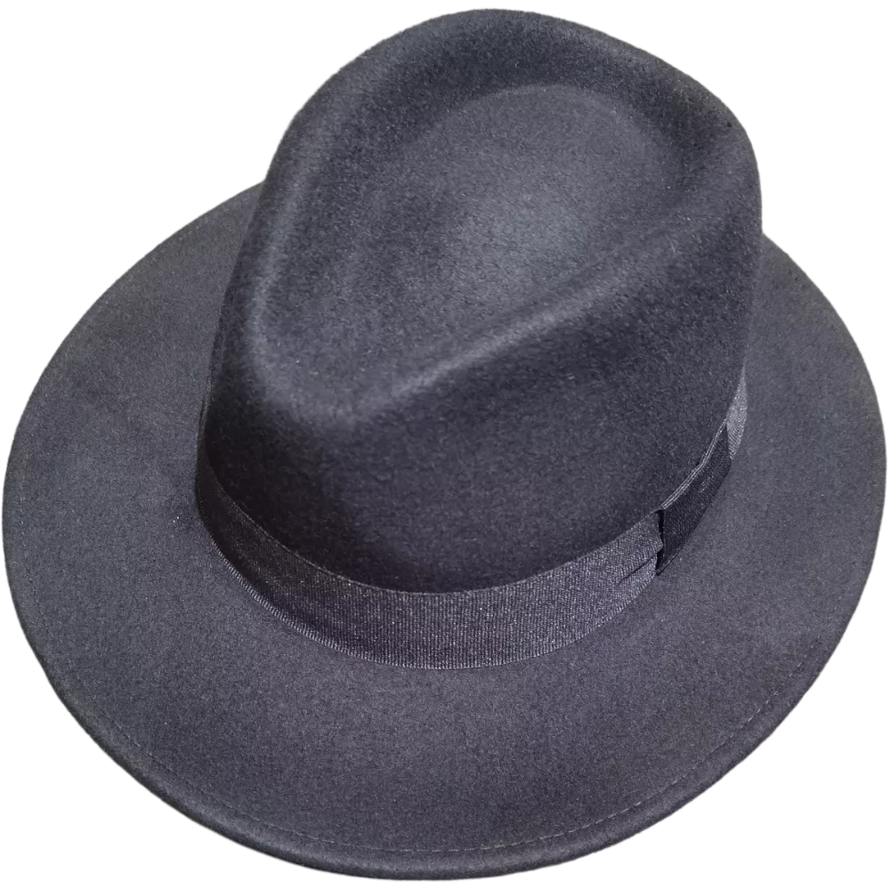 Fedora laine