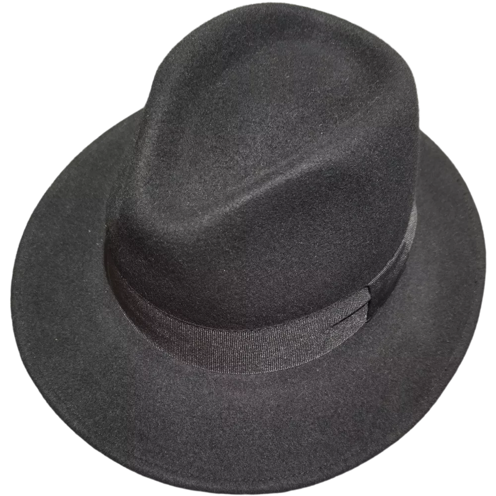 Fedora laine