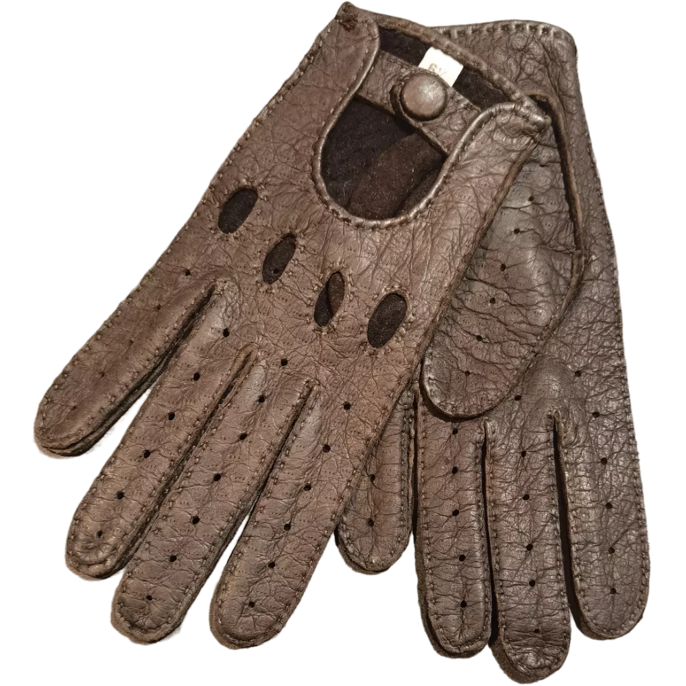 Pecari conduiite femme