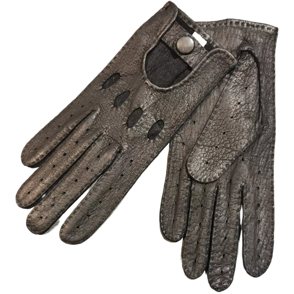 Pecari conduiite femme