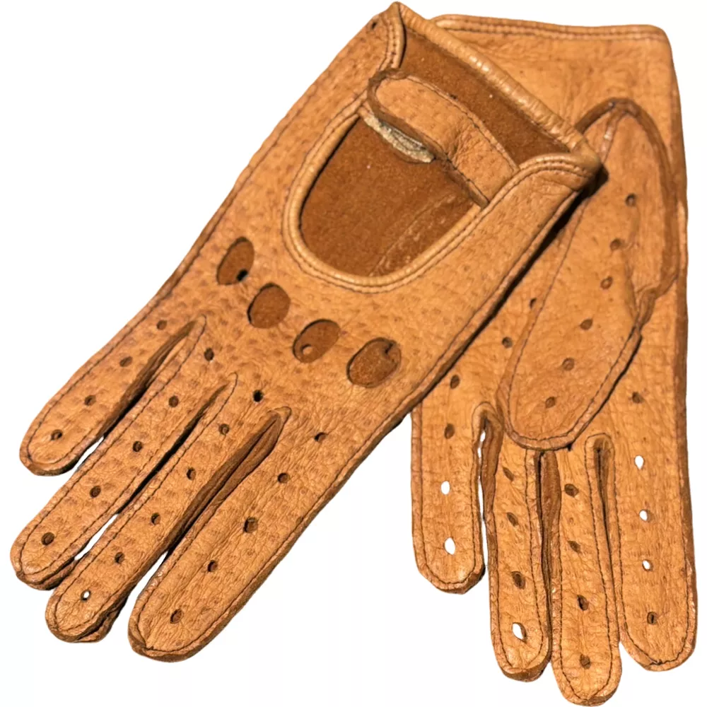 Pecari conduiite femme