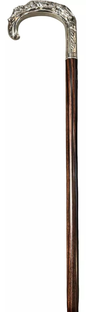 Courbe argenté chien